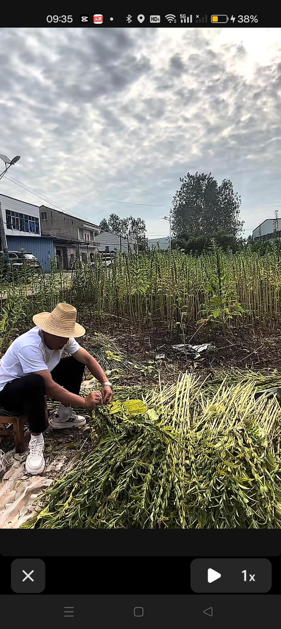 孙海洋说：大家期待已久的芝麻油即将上市，敬请期待！😍最近一直在忙着筹备芝麻油！