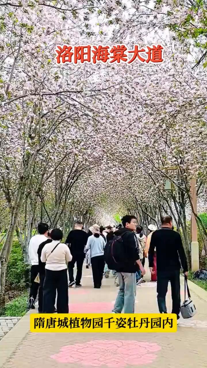 乃千子不在那园内，虽打公园那千子不在园子。