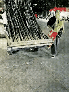 会打窝的人才能发财，把钓鱼的方法用在摆地摊做生意上一样道理，撒了一地甘蔗皮，看看