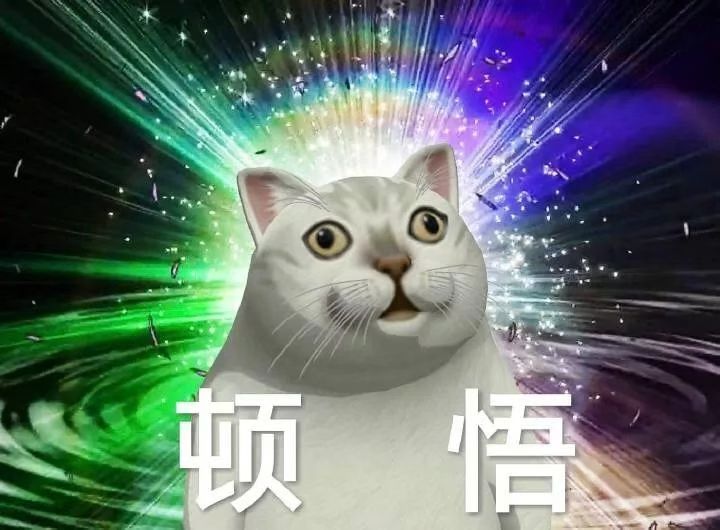 美一飞船失控150人骨灰全扬了“星辰大海”套餐，成能逐梦星辰之璀璨，败则深陷大海
