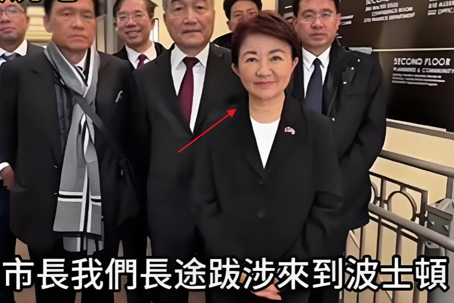 卢秀燕访美回来，很多人觉得她这步棋走漂亮了，声量大涨、名气出圈。你真以为在美国替