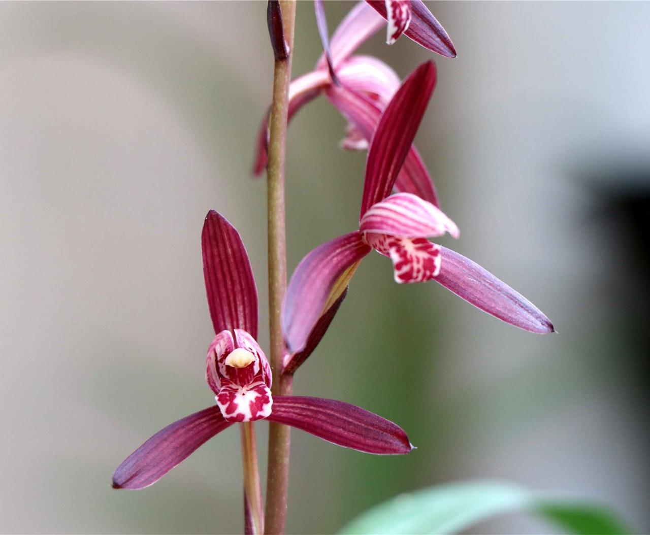 下联：几联妙对费斟酌。