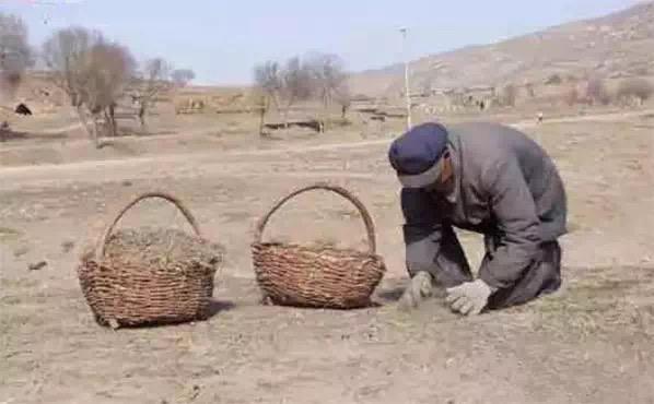 你能叫出它的名字吗