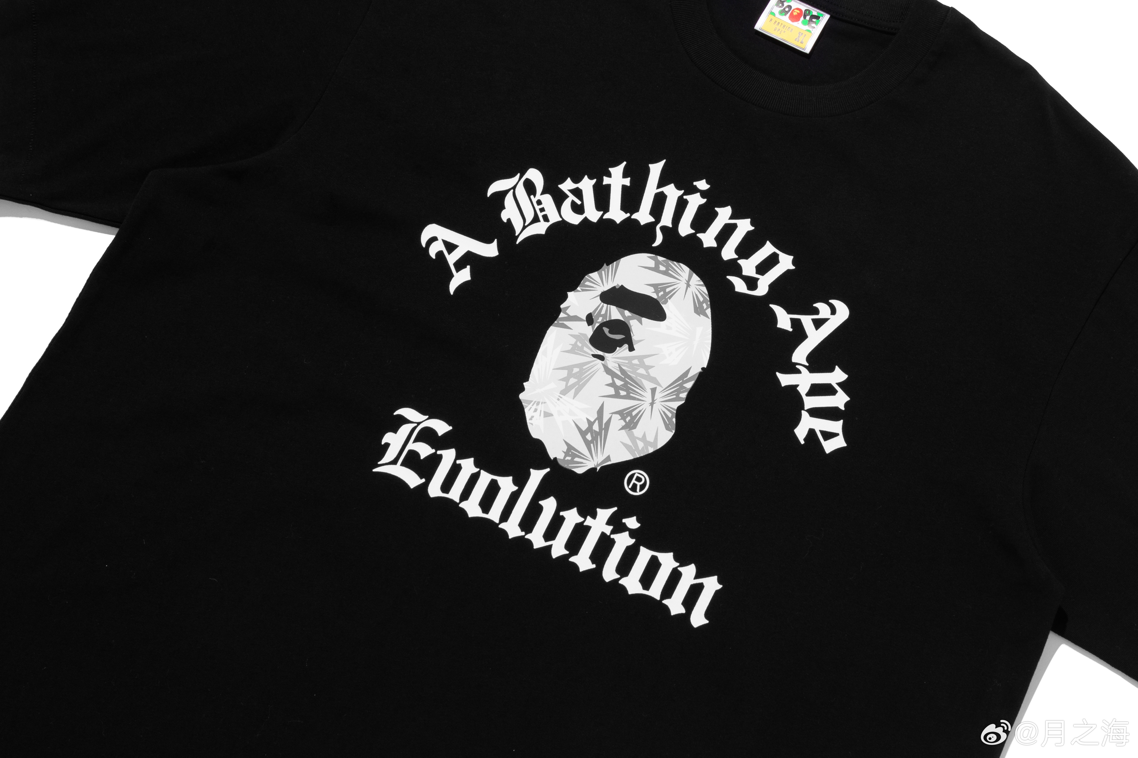 谢霆锋演绎BAPE® x EVOLUTION限定TEEBAPE® 与 EVOLU