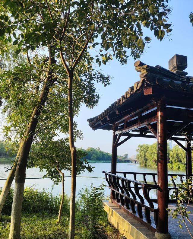 95后儿媳上班三天就辞职，全家懵圈！老登急得连夜发消息轰炸儿子，小嫂子只回“不适