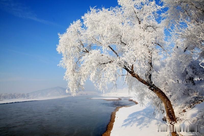天南地北大拜年天南地北的风，此刻都裹着暖意，从松花江畔的雾凇到南海之滨的椰林，从