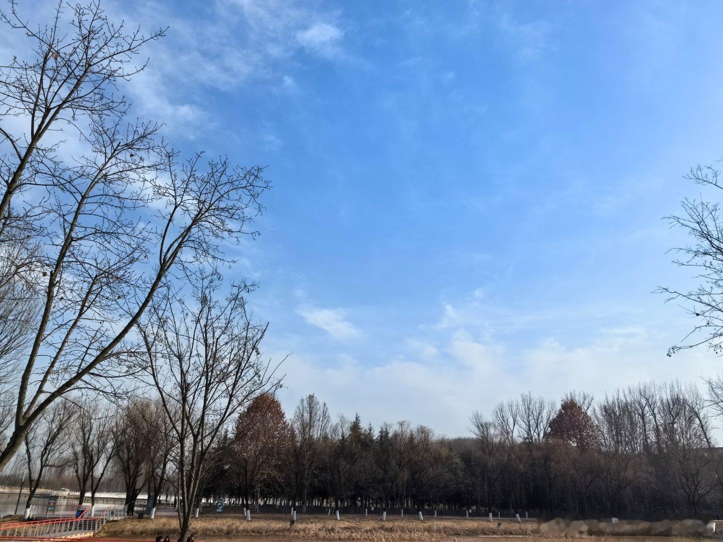 今天虽然有点冷，太阳不错，公园人多起来了  