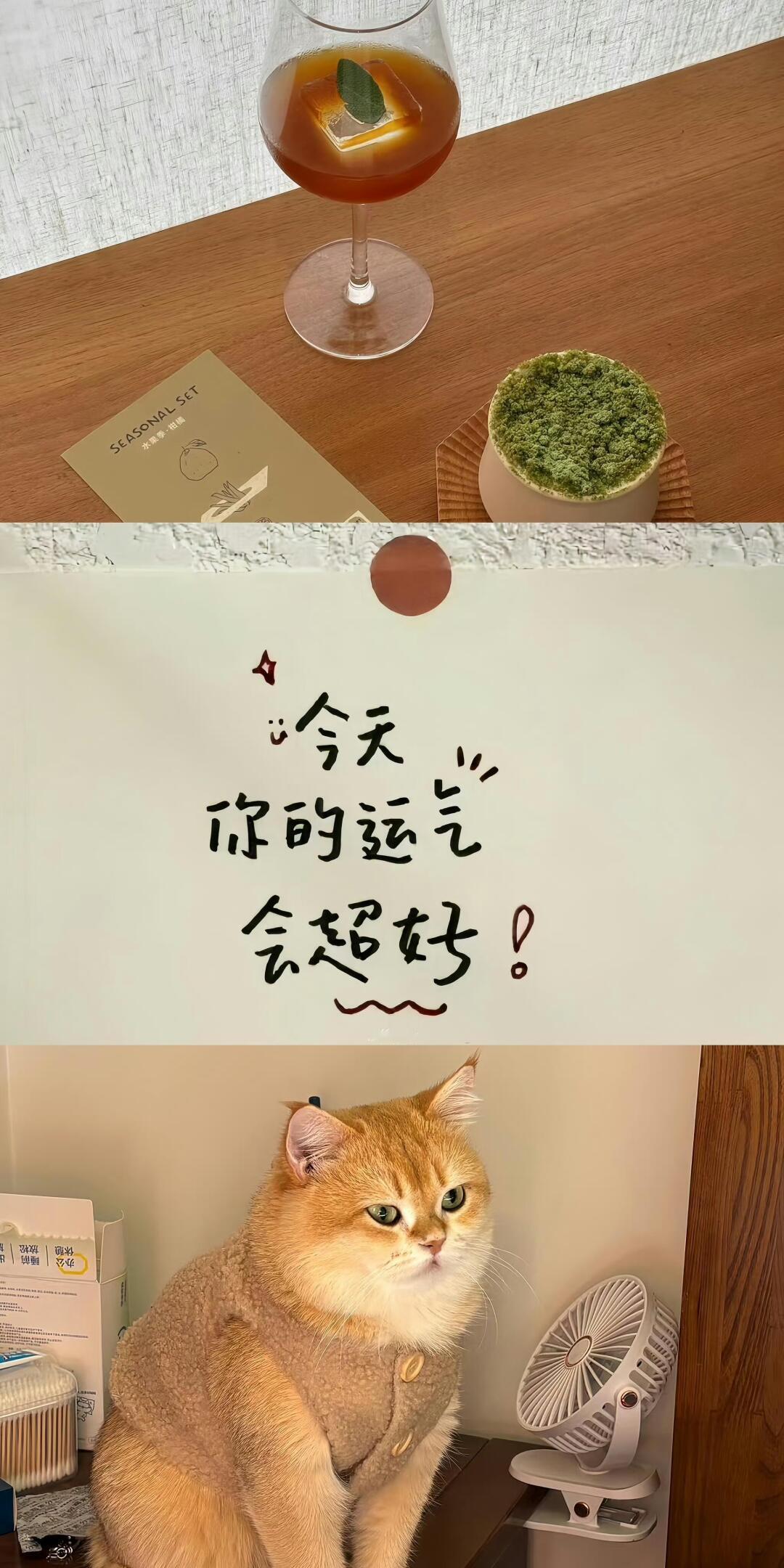 超爱的文字拼接壁纸～ 