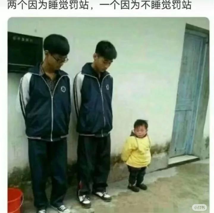 《搞笑图片》
搞笑 梗图 此图有梗 图片仅供娱乐 人间真实 定格有梗瞬间 搞笑日