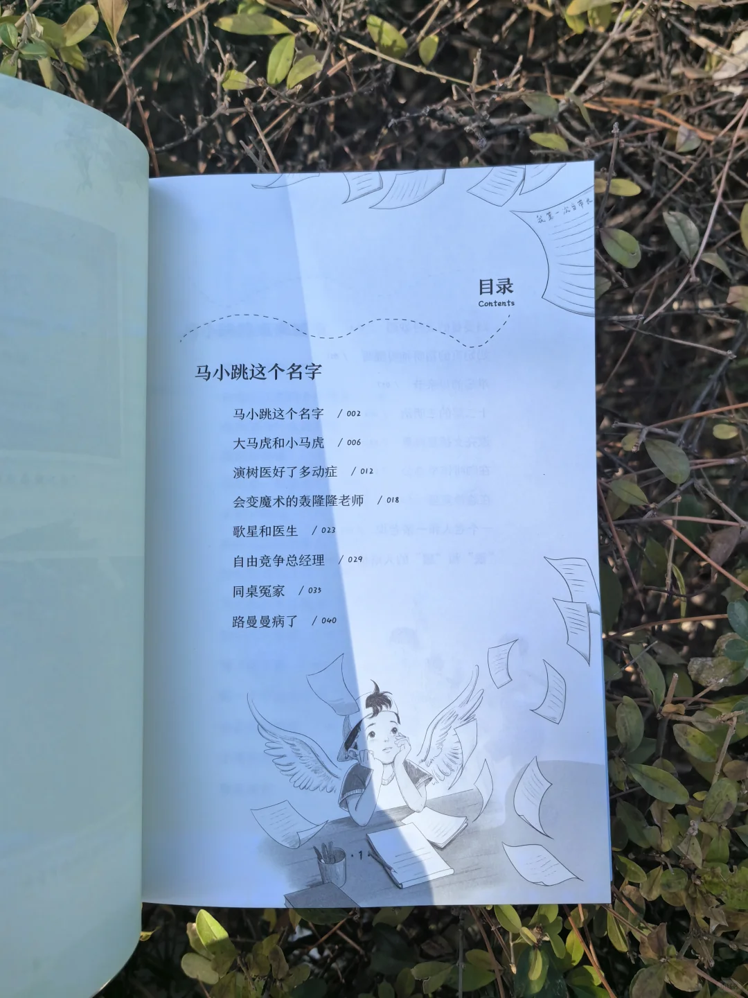 杨红樱作品精选集：寻找童年的纯真与快乐