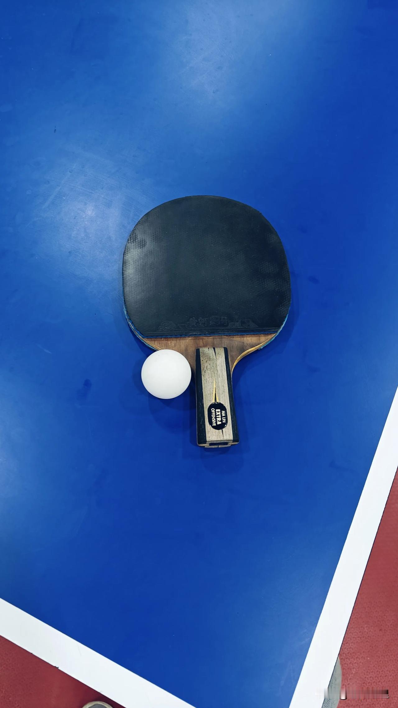 这才是全民健身中心，全天免费开放，有乒乓球，羽毛球，排球，篮球馆，全部免费随便打