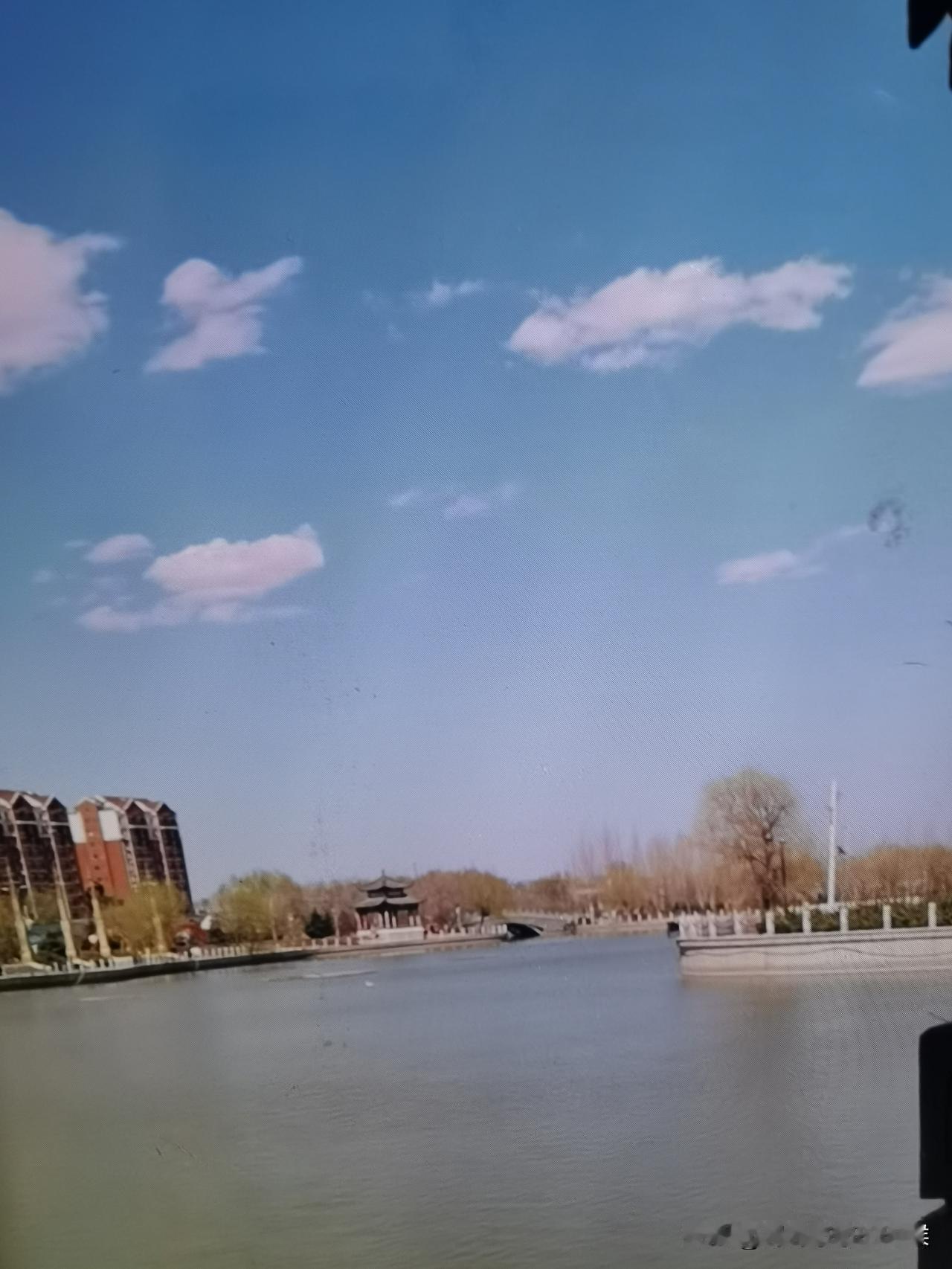 一家人游丽水公园，老伴诗兴大发：
春游丽水满园甜，
千花万树尽开颜。
童叟信步林
