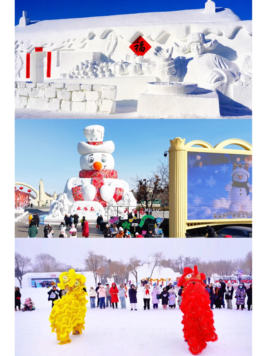 哈尔滨年味顶流🧨太阳岛雪博会新春全攻略