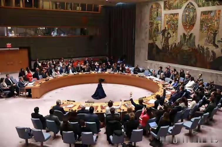 联合国大会会场再起争议，一份旨在遏制美化纳粹、清算极端法西斯思潮的决议草案引发巨