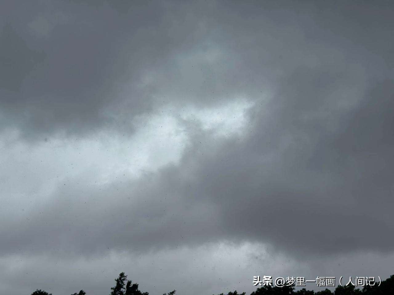 南京从立秋到今天已连续下四天大雨，此时仍不见乌云散开。这样看南京不会再出现连续多