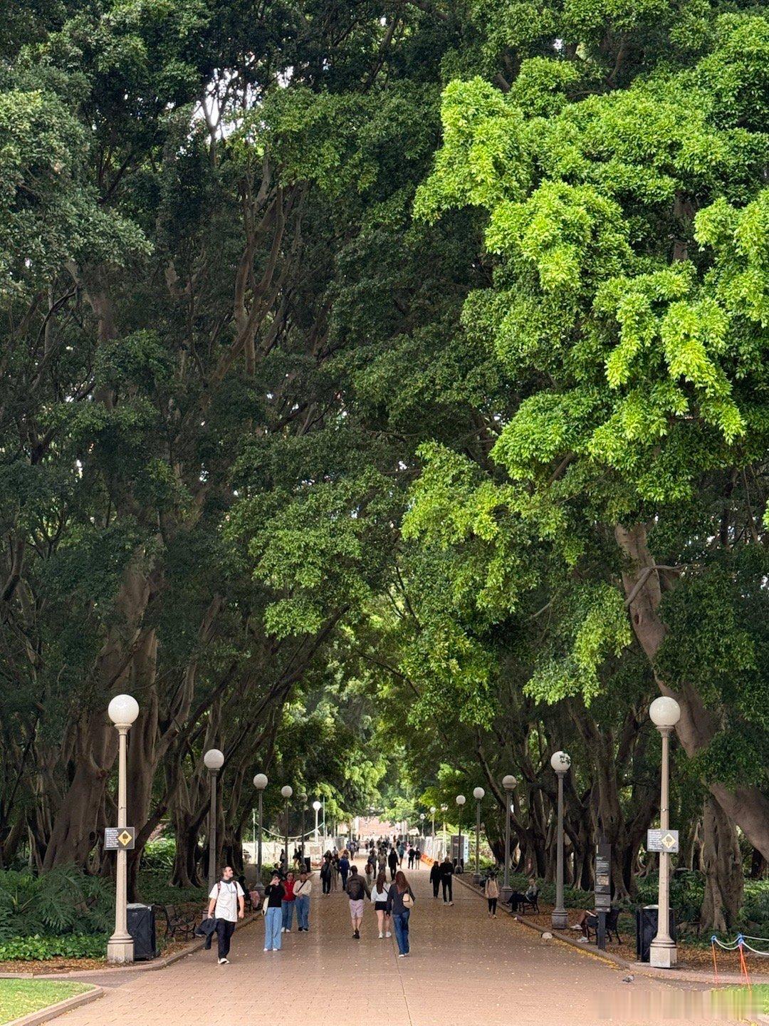 成为悉尼街溜子的一天。 ​​​