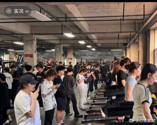实在是不懂，他们到底图啥啊 