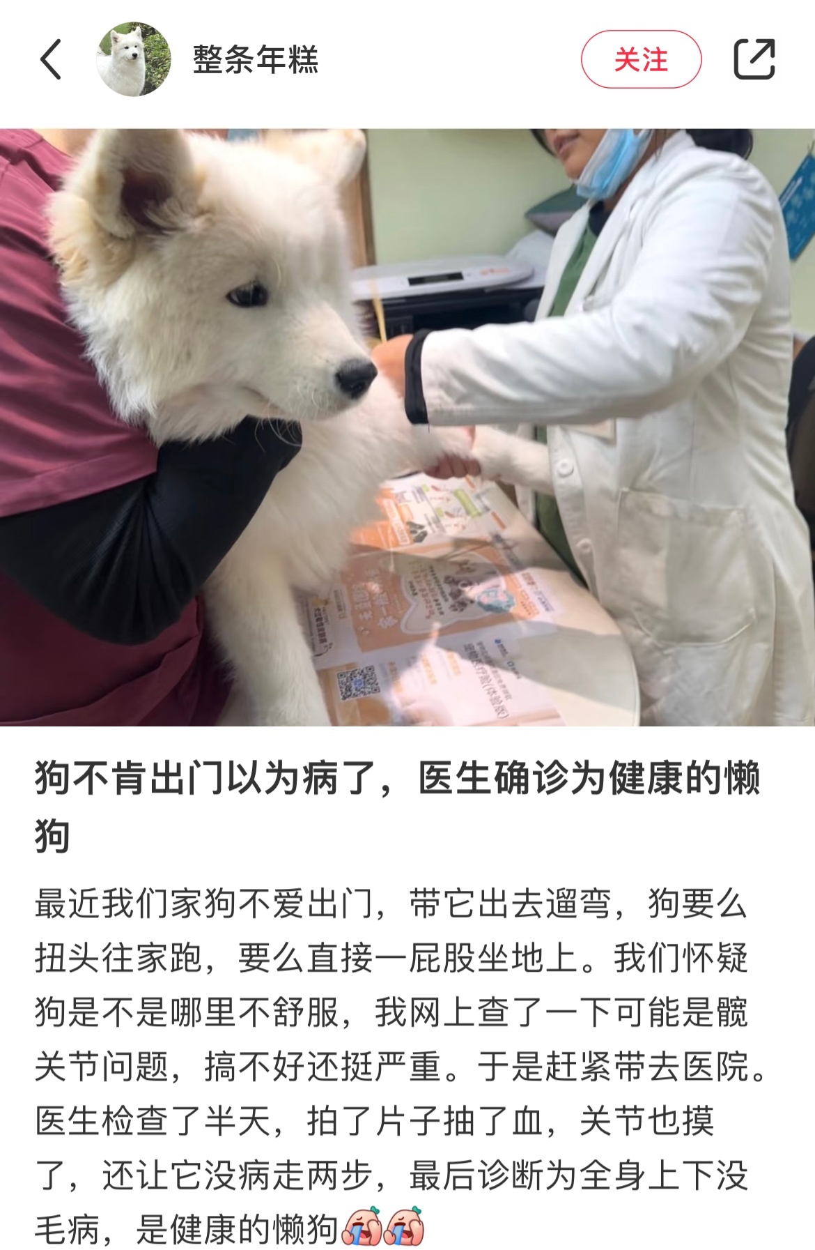 以为是病了没想到是懒的 