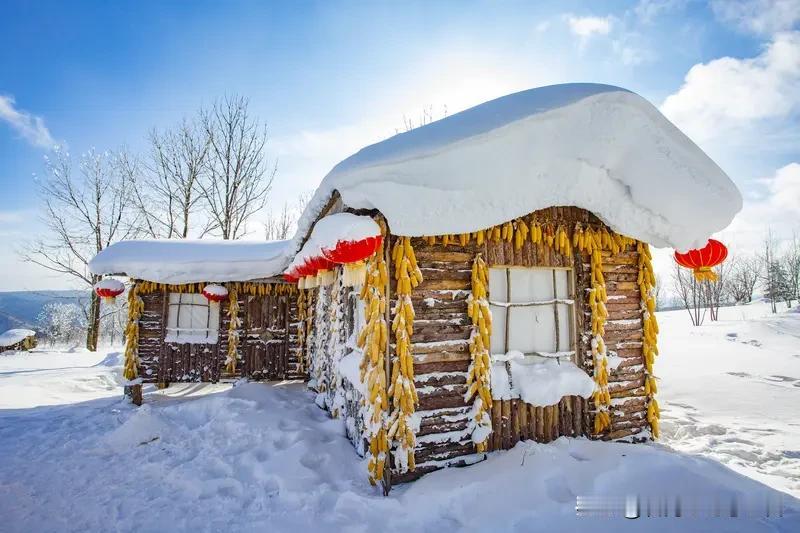分享我这周有趣的事：东北冰天雪地、华北寒风凛冽、国际岛温暖如夏！入冬了你仙居何处