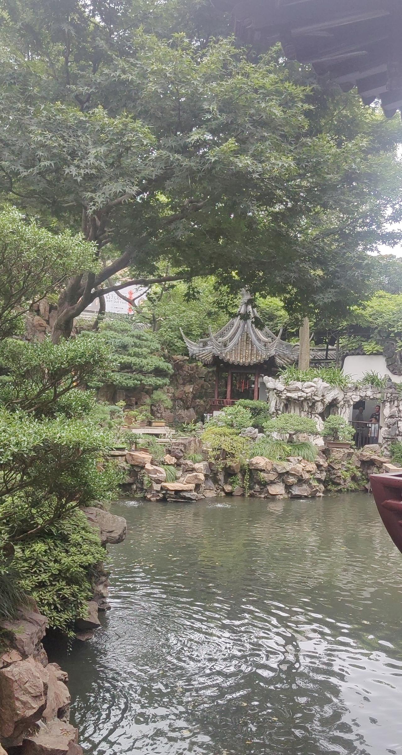 人性化的私企
老妞今天视频说小妞把公司的电脑和私人物品全部搬回家了，说公司已经批