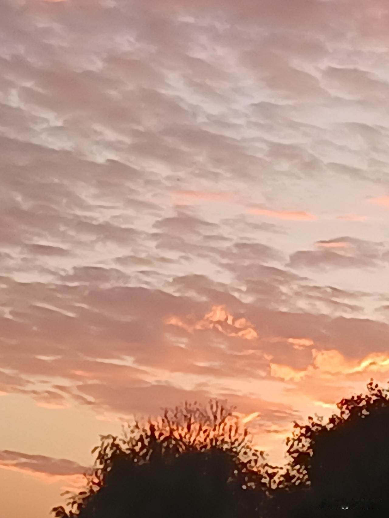 晨时大美~~天宇放歌东方红！
望长天，谁持彩练当空舞！
视流水，半江萧瑟半江红！