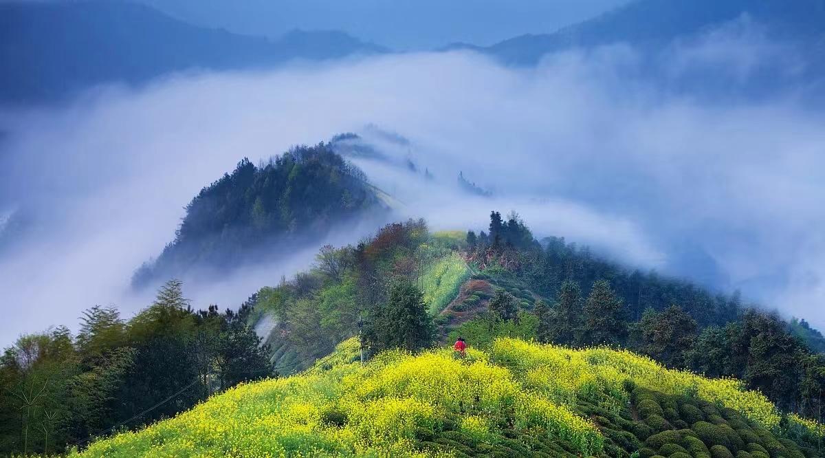 接待了一个高一的学生家长，家长其实人不错。是一个比较靠谱的人！他觉得我们在网上认