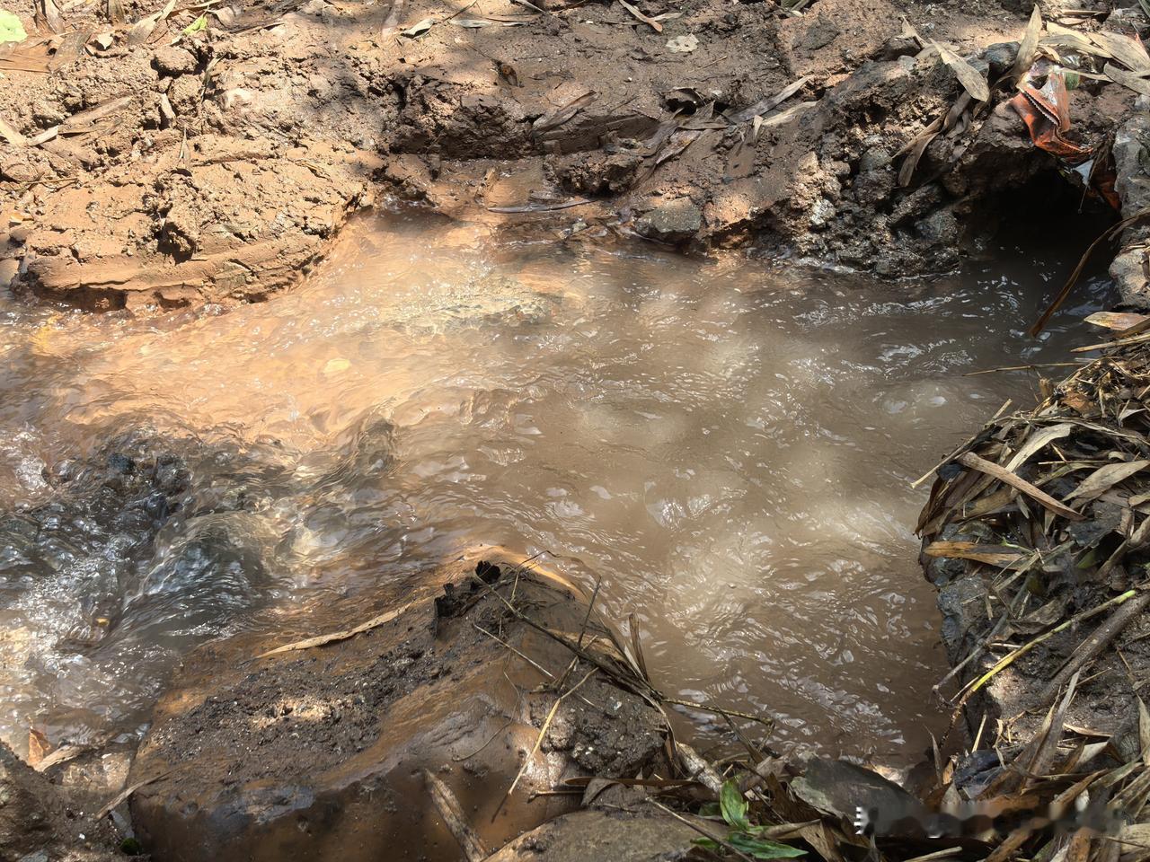 今天我又冒火了，我知道这样很不好，为什么要吃自己的饭去操别人的心呢？但就是管不住