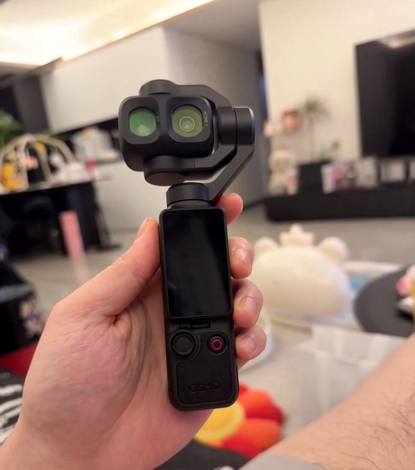 pocket4适合想认真记录生活的人，手机当然方便，但这台拿起来拍vlog确实更