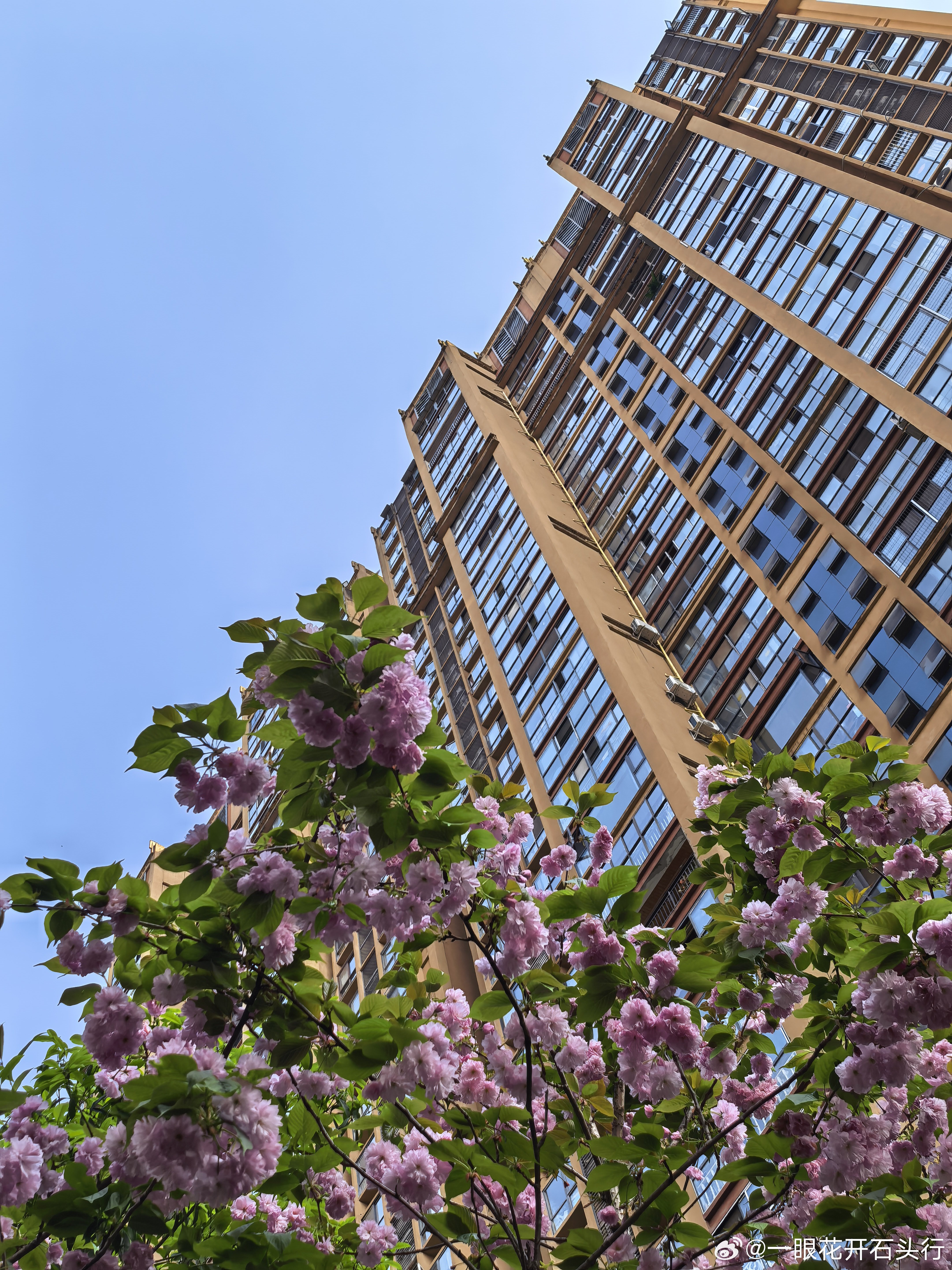 心不死，道不生。道既生，人方活。 