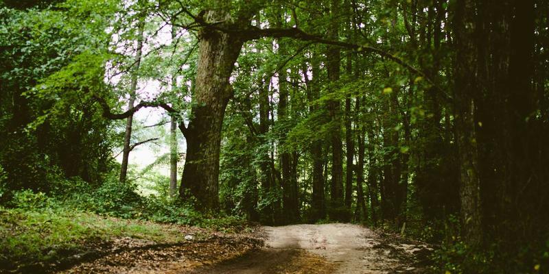 老美扣哈佛帽子？我亲眼见过这种把戏的荒谬 

前几天看到美国又拿“国家安全”为由
