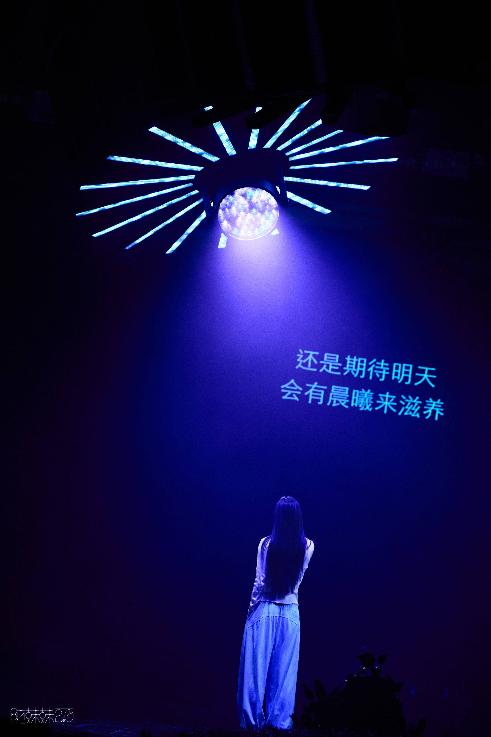 啊啊啊啊啊向日葵粤语版我们来了