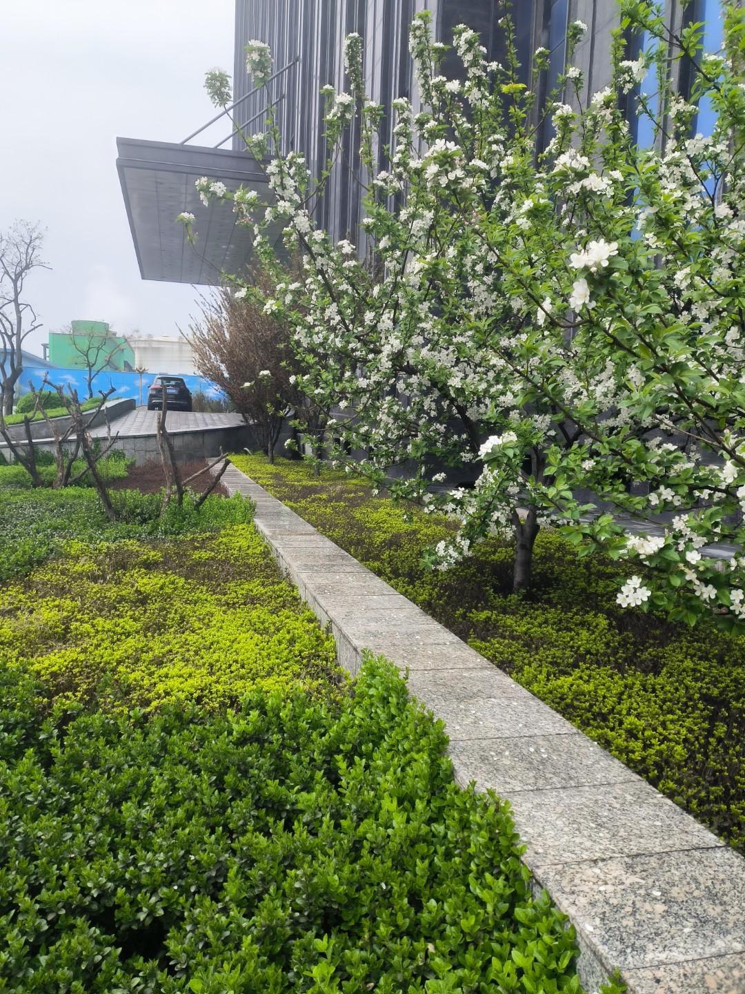 寻亲圈怪像，认亲时哭的感天动地，不久之后有母子反目的，有兄弟成仇的，有兄妹互撕的