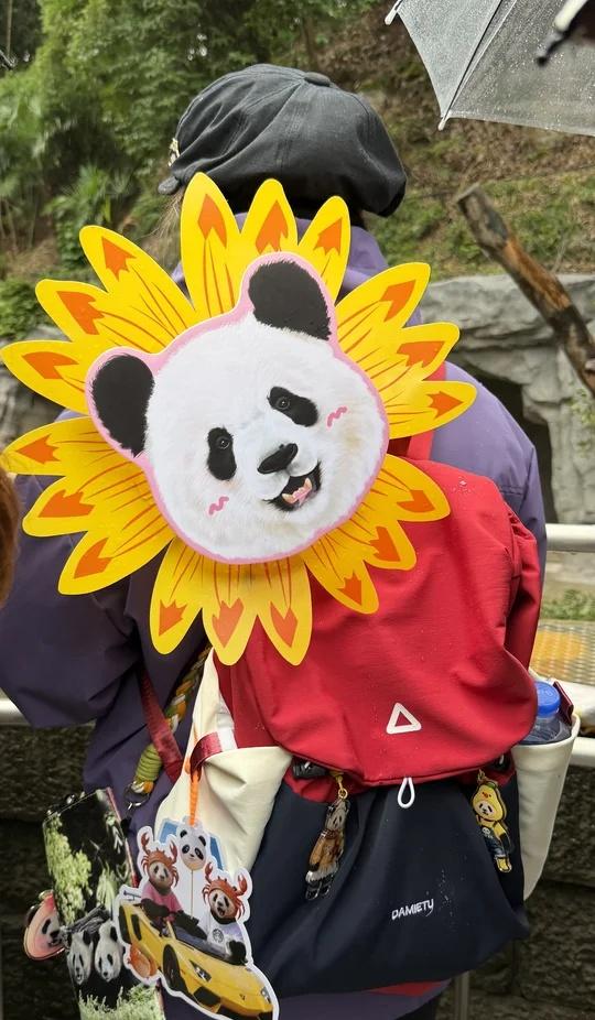 再见重庆！再见重动！