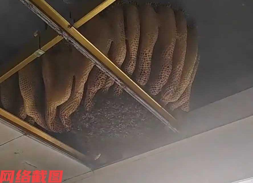 江苏宿迁有户人家要安装刚买的热水器。

当热水器安装的师傅过来，拆开厨房吊顶后，