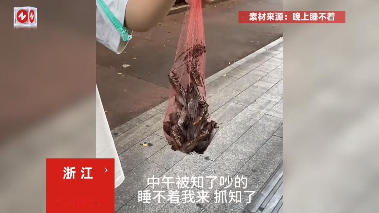 “这简直是捡钱啊！”7月5日，浙江，一男子在家里午睡的时候，被树上的知了猴吵的睡