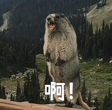 跟没上过班的人沟通真的好累我妈对上班的理解：人在公司，但手机必须随时在线。我：我