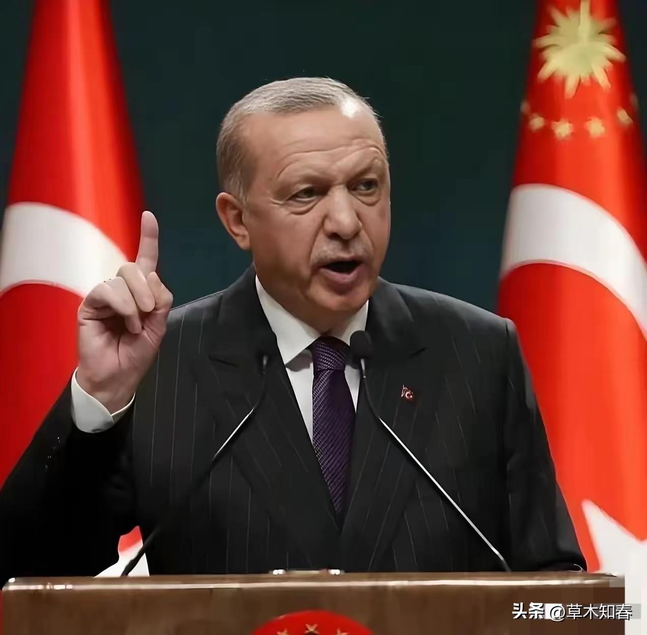 中国和土耳其谈话了
3月25日，土耳其终于等不了了，一通电话打到了中国，土耳其外