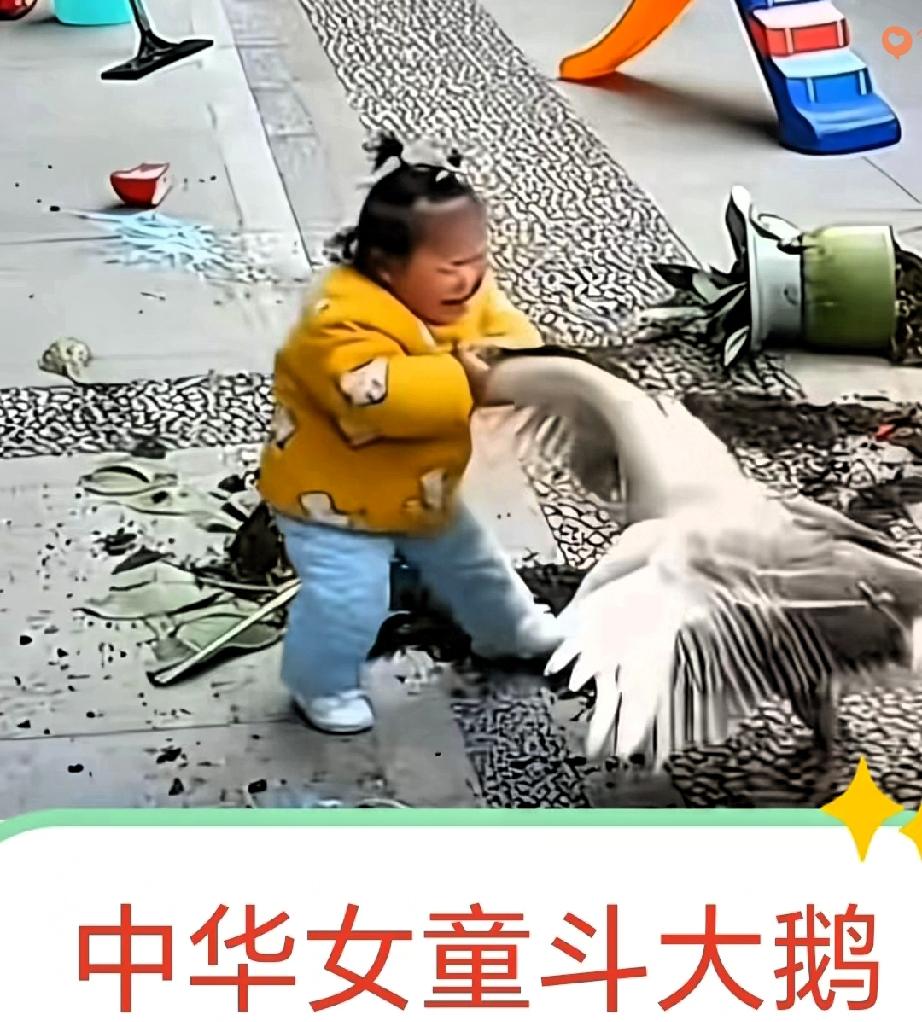 萌娃大战大鹅，谁也不服谁，这场面也太上头了！
 
小女孩在院子里安安静静玩耍，没