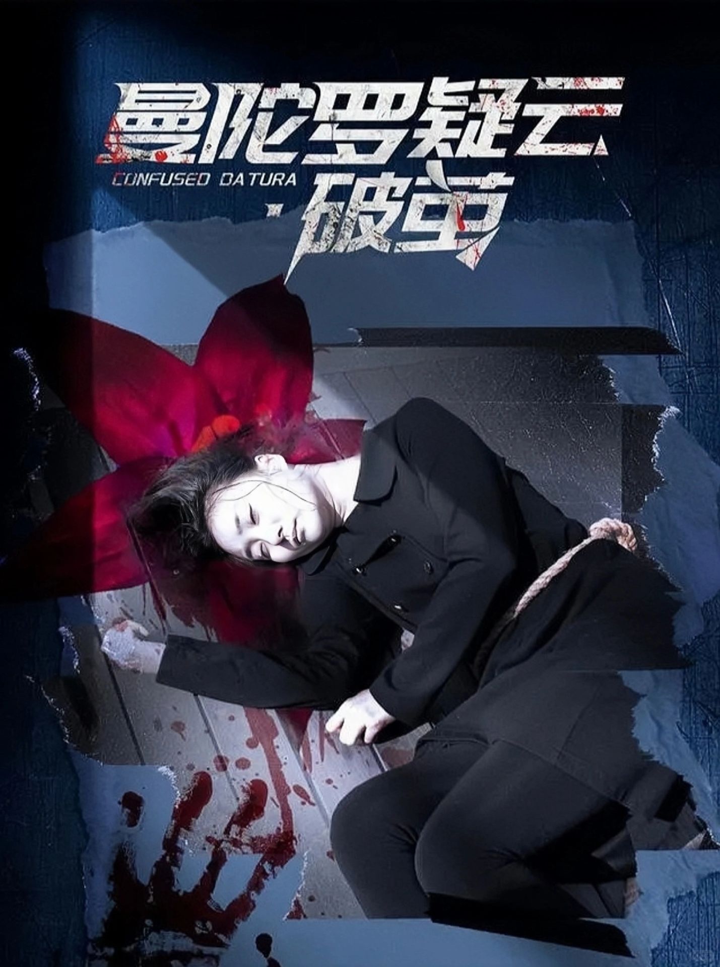 一花一命案❗四集一案❗连环凶杀❗离奇悬疑