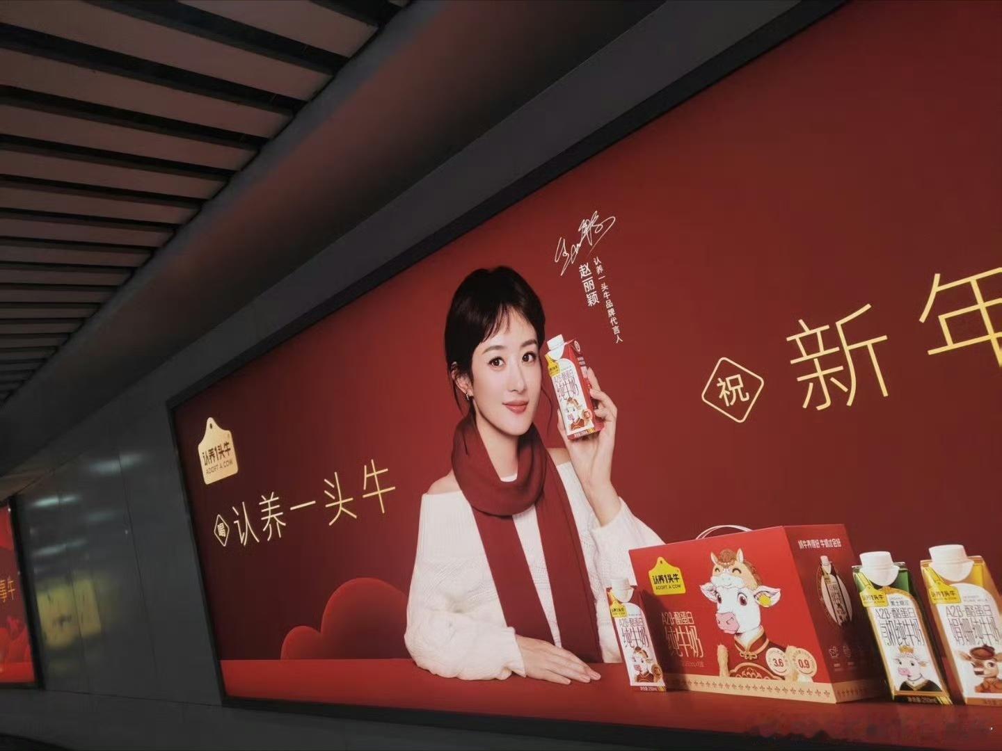 赵丽颖赵丽颖认养一头牛地广赵丽颖认养一头牛新年地广 赵丽颖新年地广来啦~快去打卡