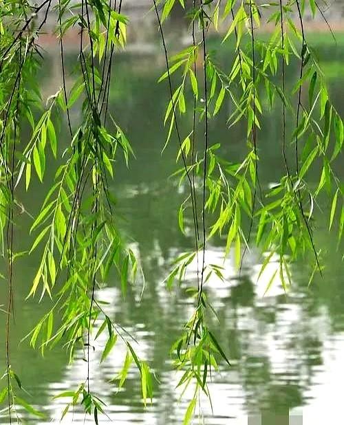 老话常说“六月十五早看天，一年不用问神仙”，今天恰逢农历六月十五，这大清早的天气