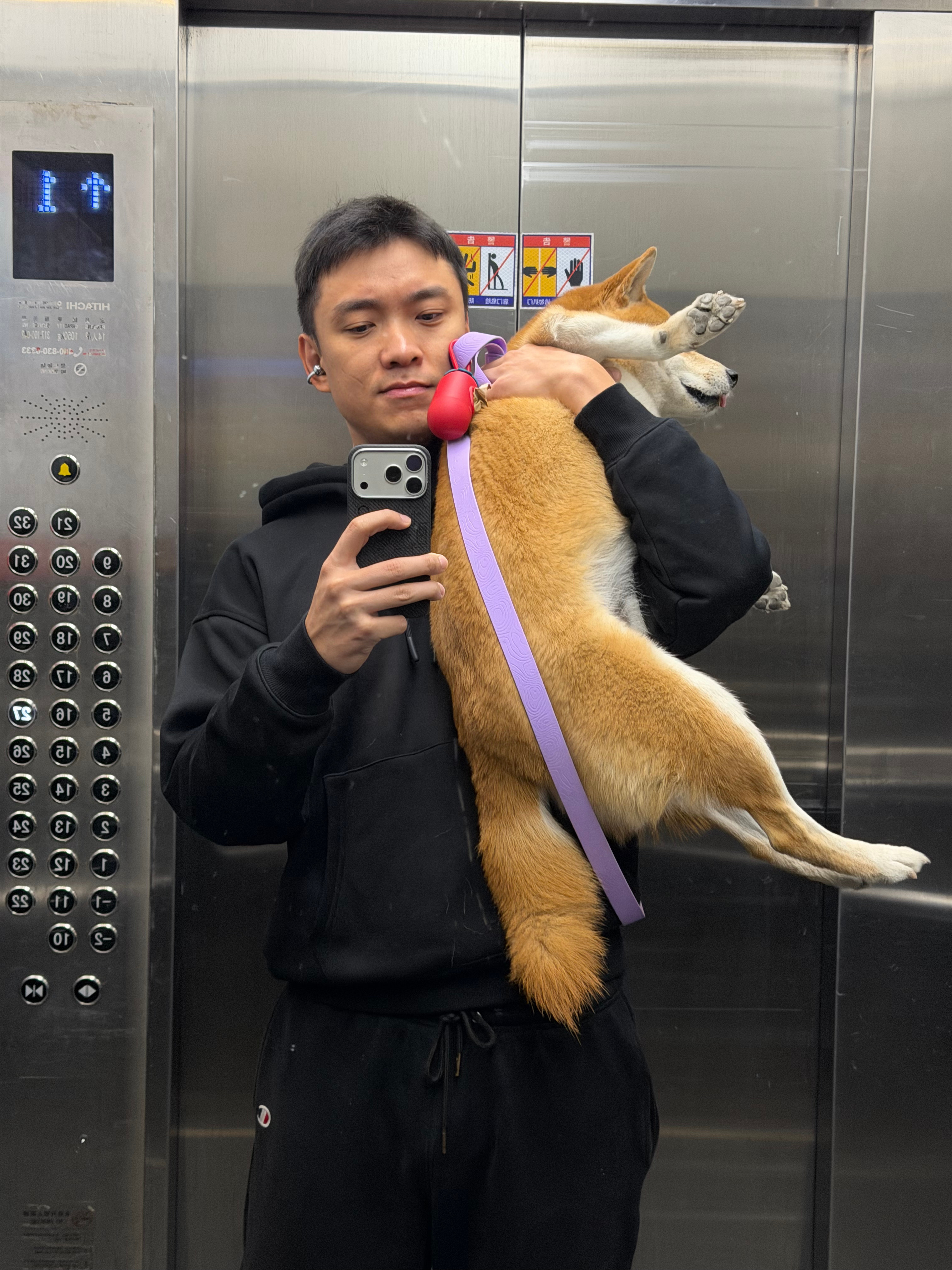 报 giao：逮捕了一只不愿回家的小狗 