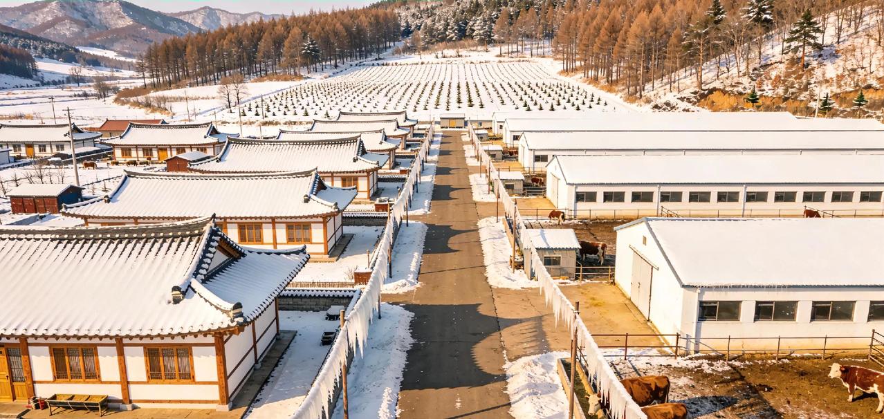 延吉市朝阳镇的旅游，领略乡情的风采

          红色文化+朝鲜族风情+
