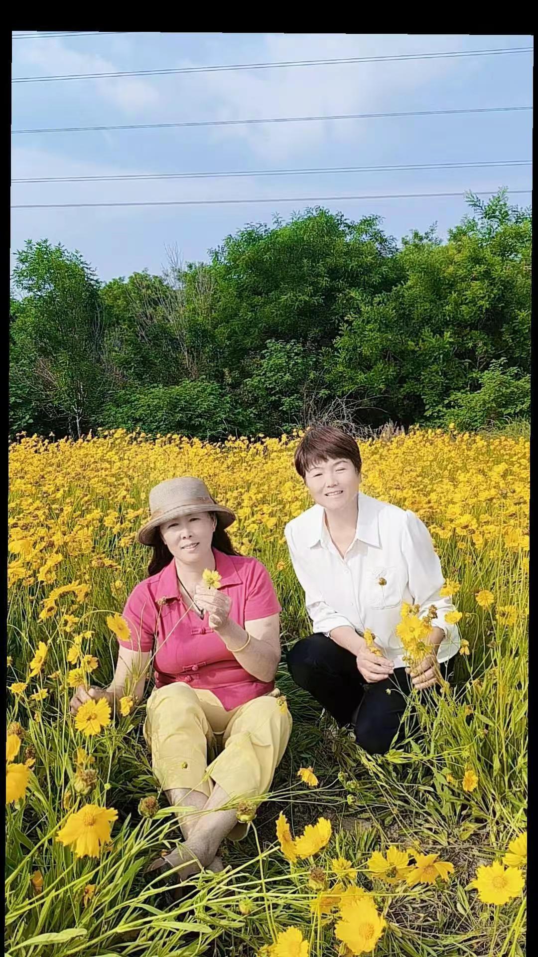 玩法合伙人计划 情绪音乐玩法新风向