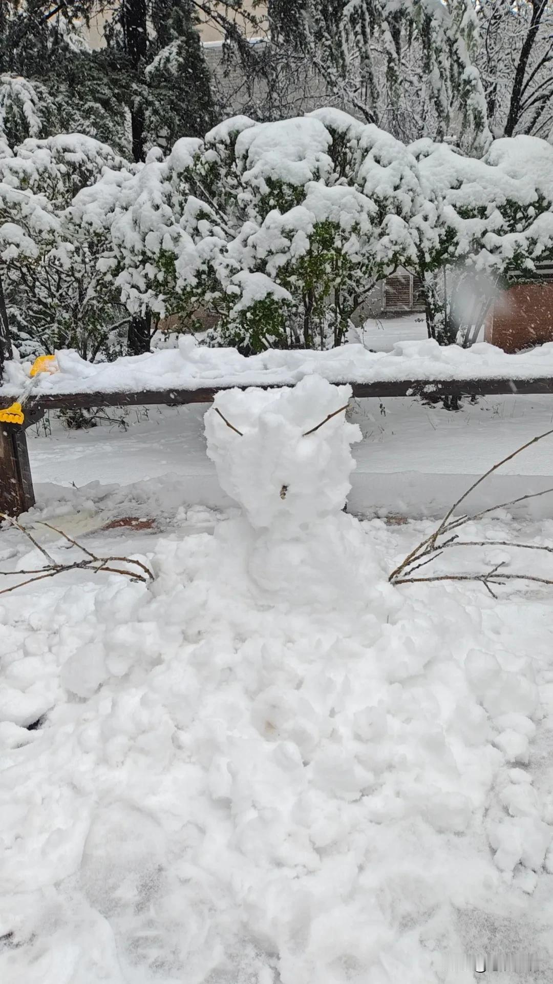 下大雪了！坐标洪家楼这边！
鹅毛大雪如约而至，先是半天的鱼，中午变成了像盐粒一样