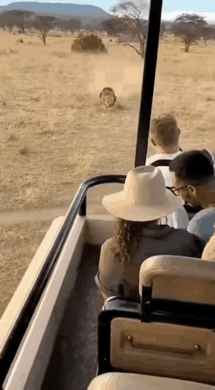 人们之所以不害怕，是因为知道底细，不然早已吓得屁滚尿流了。