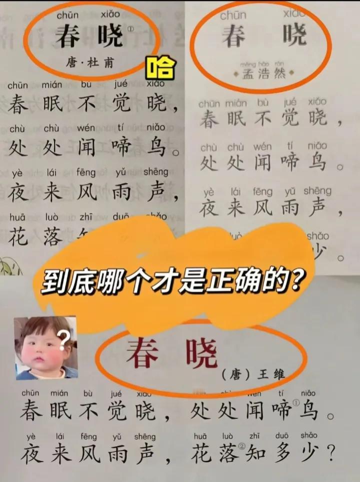 不是亲眼所见，
我是万万不敢相信的。