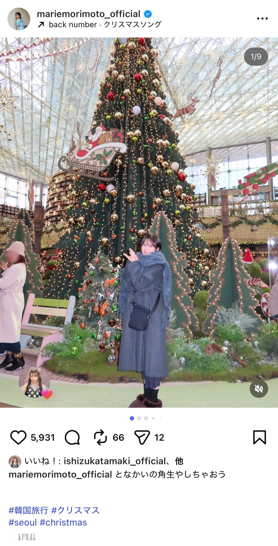 森本茉莉🐨mariegram