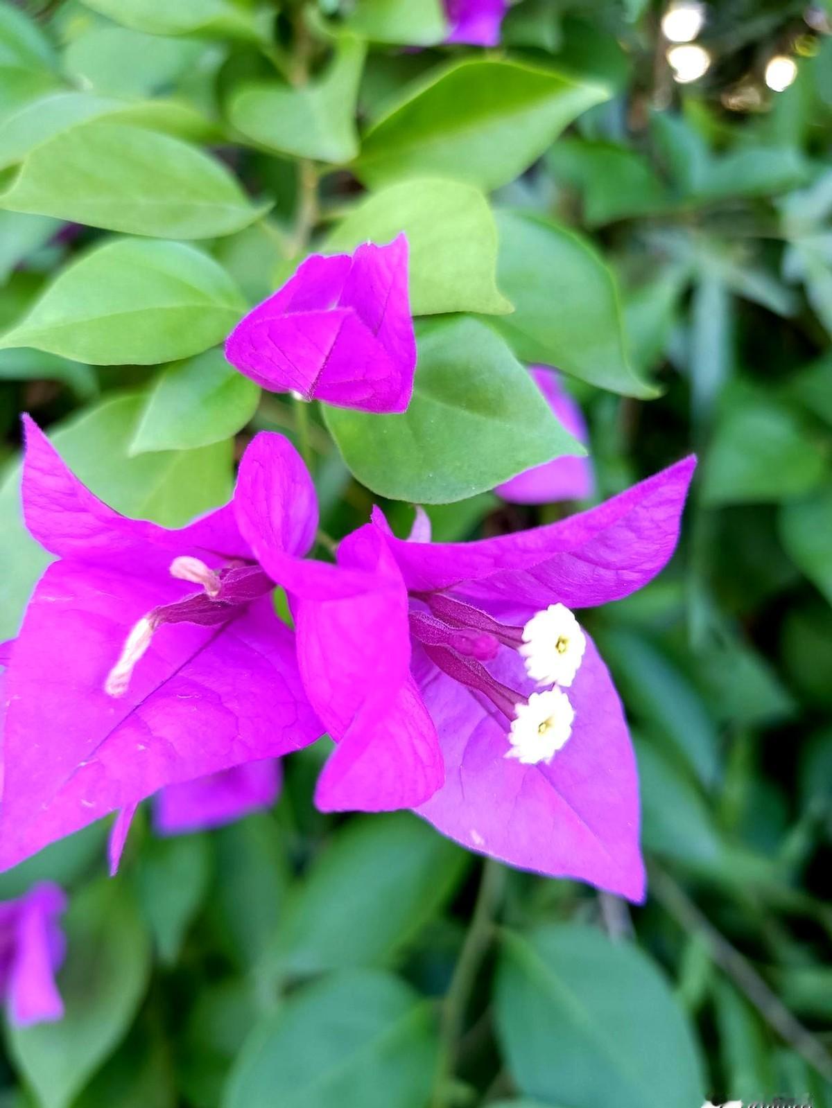 2005年莆田一名28岁出租车司机在胜利路载到一位妆容精致的江西九江女子,一路聊