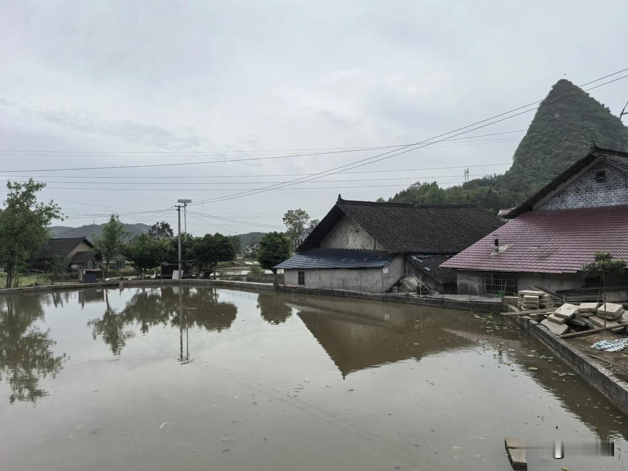 沁园春·尖岩山回家一日游
（2025年5月2日）
翠柏虬松，雾带云纱，万仞山葱。